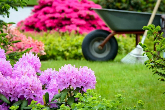 Entretien jardin 46